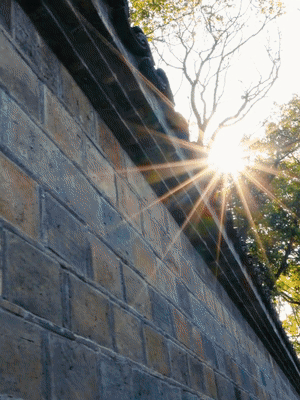 dbee5deb4c1daa22ed7b869d275b52ed.gif