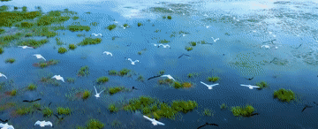 661ee37b01cb893fe1f385cc5e3b11cd.gif