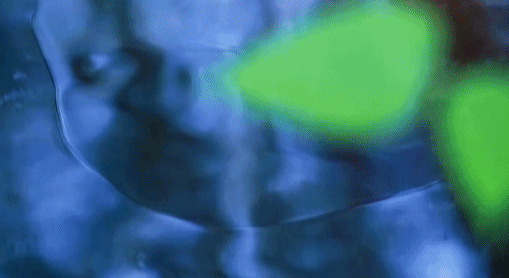 55a57658bc4a7939258a94764d3a2660.gif