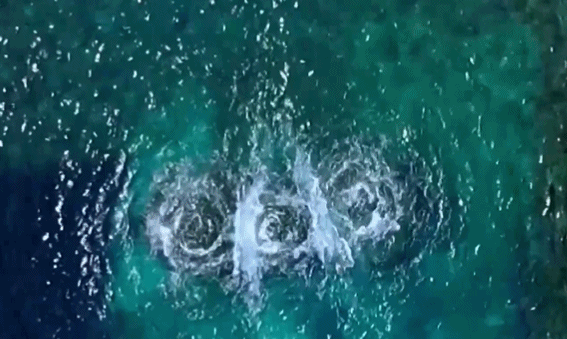 c992cd185ca220547e2345bbf5bb0da8.gif