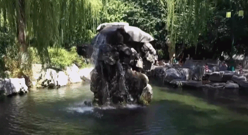 cadc23928f17c6dcc675529386768c13.gif