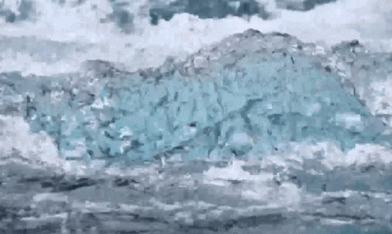 f5452f79a37c8d915602348b25dcbecc.gif