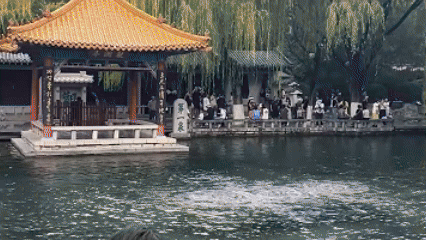 bc1a5028422a7ff6733a6cf5d0e97a86.gif