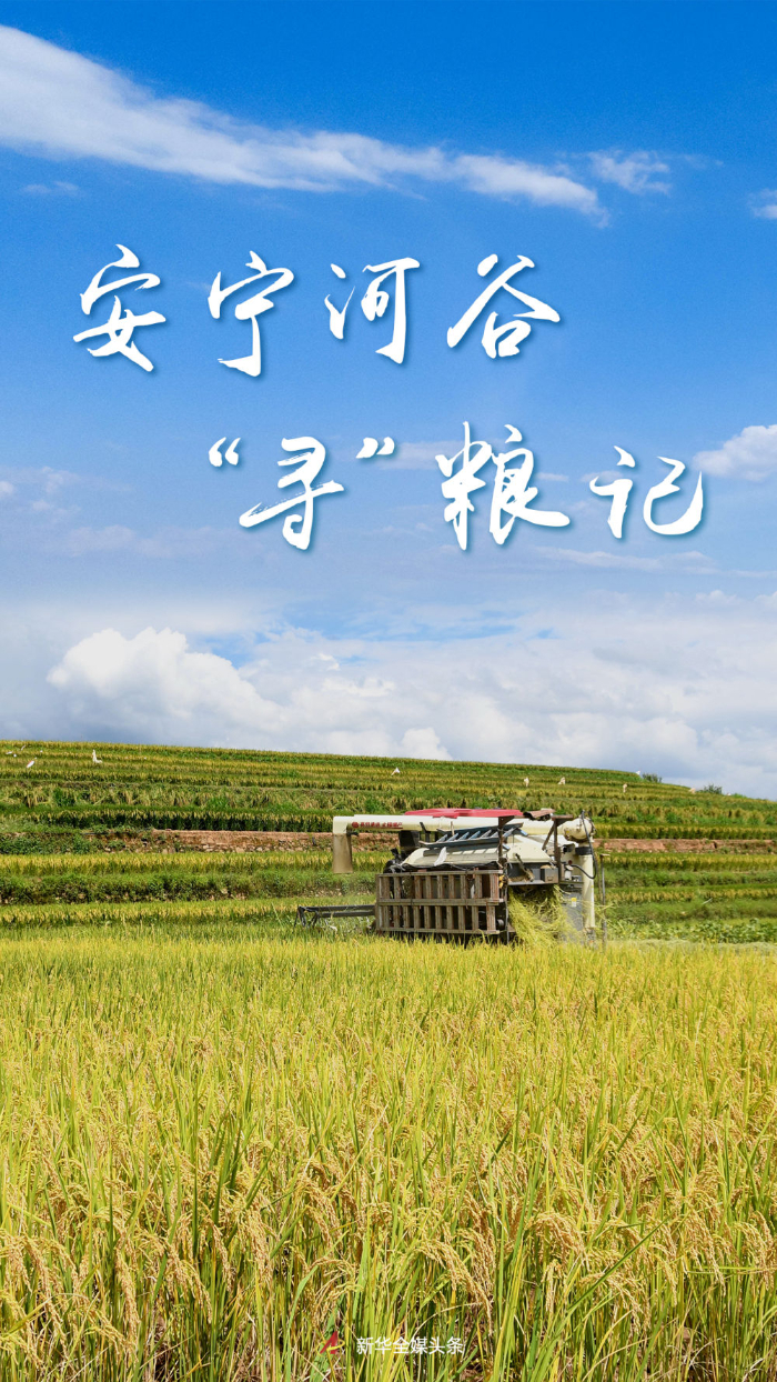 0a7908a04dff3a819840d26d5d8ab431.png