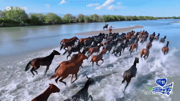 4b97d9d568f5431681b60bbd967ef16e.gif
