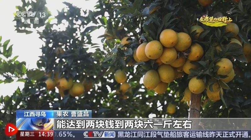 正在上传... 7e2b4f1903dffb1f65bff4fd2c20509c.png