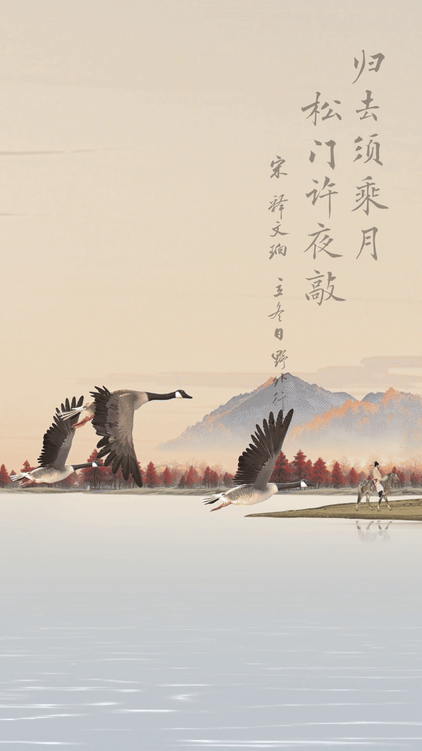 640b696e12d93a8f005fb75bf347cd96.gif