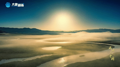 d237f7a443467933d8a84795be16acd1.gif