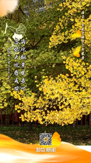 3991b6672d74b8dc9343bc607d9c4fca.png