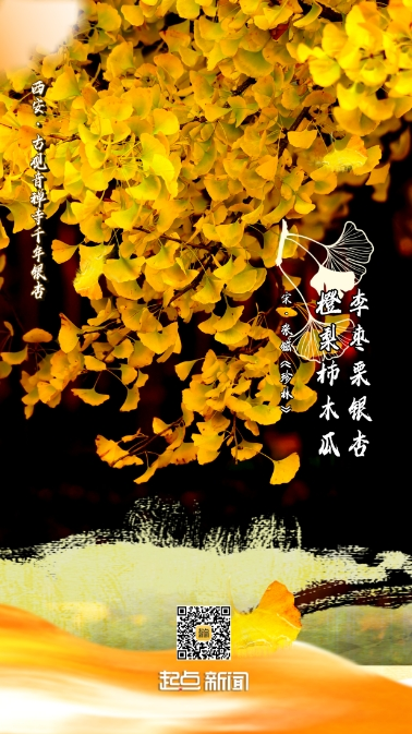 5b028dfff16bca94d8ad361870ed26f3.png