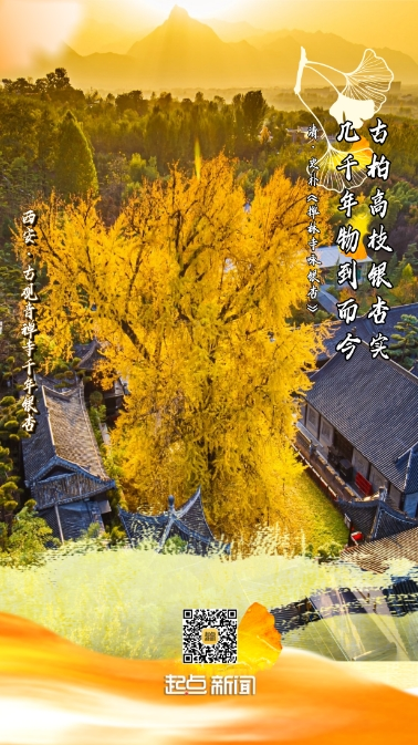 9faade3a518be804adef903a93ab0c86.png