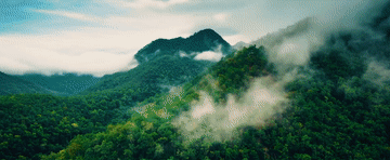 65ebaeae2435d5a74488f64d9996c5ba.gif