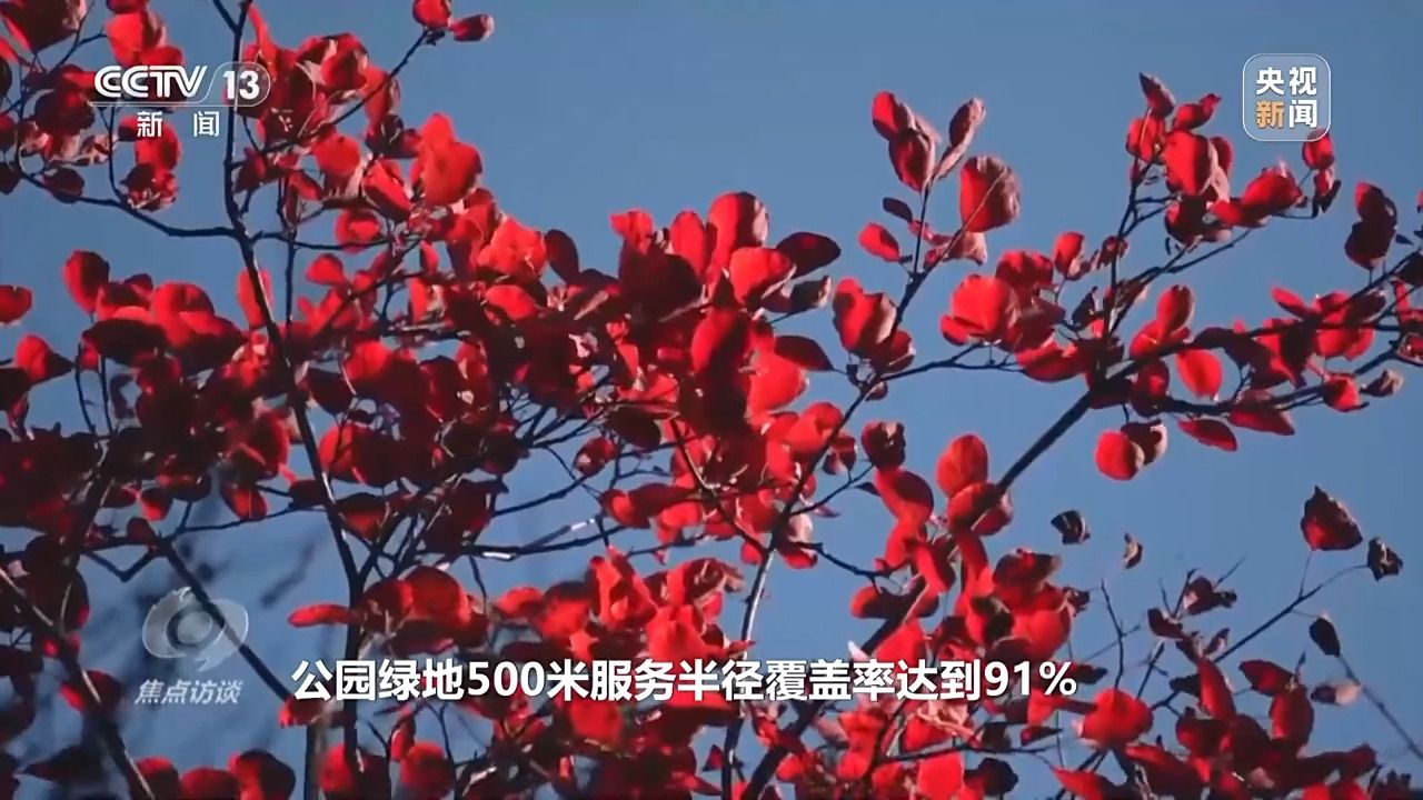 41088d033f50f40a5e07f90d15a0429a.jpeg