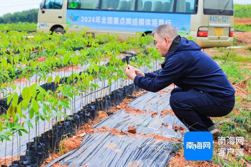 泛亚电竞全国网媒行走进海南橡胶邦溪种苗基地：良种良苗育出橡胶好“长势”(图1)