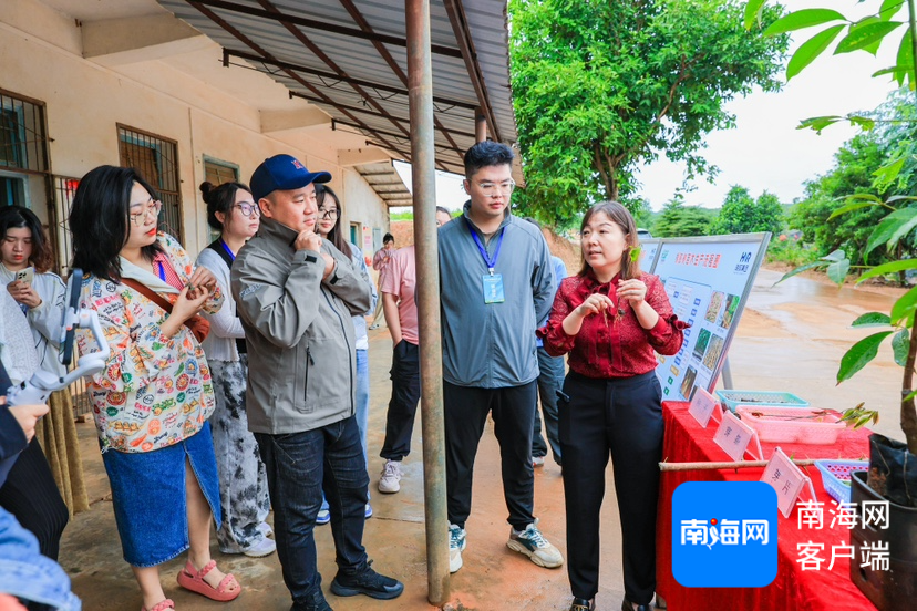 泛亚电竞全国网媒行走进海南橡胶邦溪种苗基地：良种良苗育出橡胶好“长势”(图3)