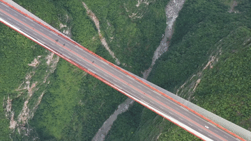 e173d1708532e171ae725de78c395606.gif