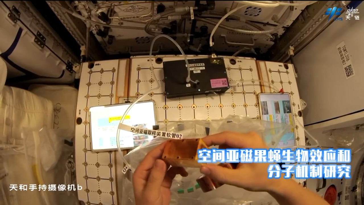 7bbc9320f5530a701e1e43f3fc851ef2.jpeg