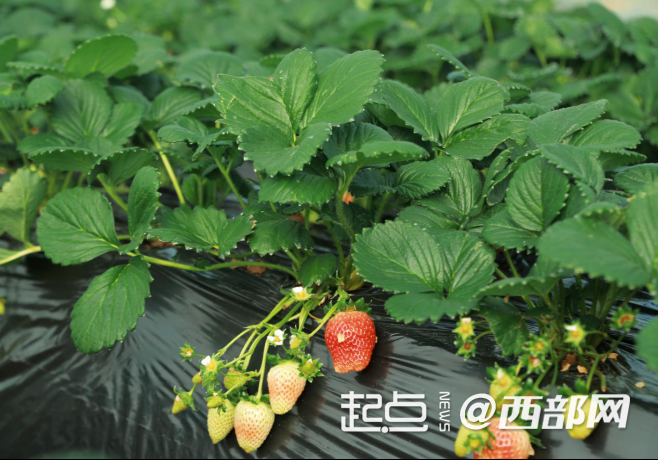 6b93d4c7a5bfc3098bb3cf020fda7609.png