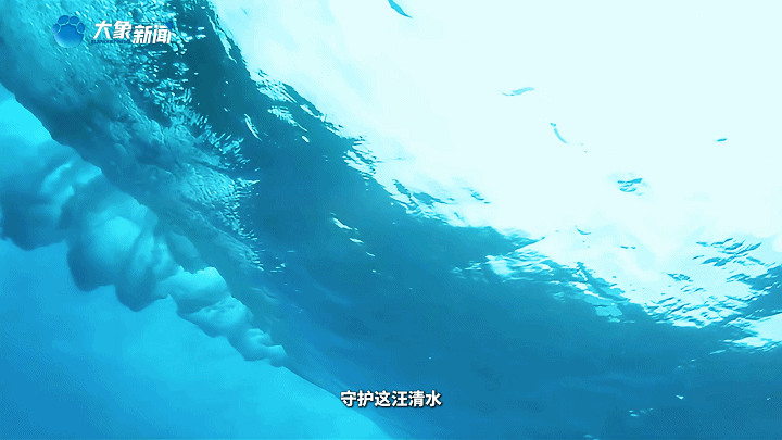 cbe8b0592c2609317d0234fe8f263826.gif
