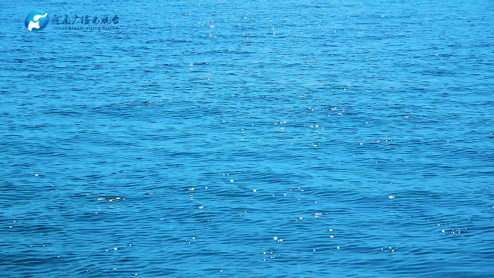 e0b38987388103693703fa136714e05d.gif