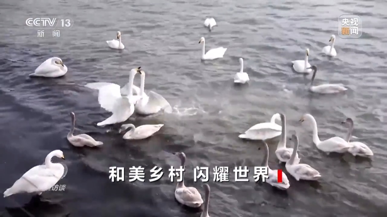 b769bb4d95751e78a11baae7b2402763.jpeg