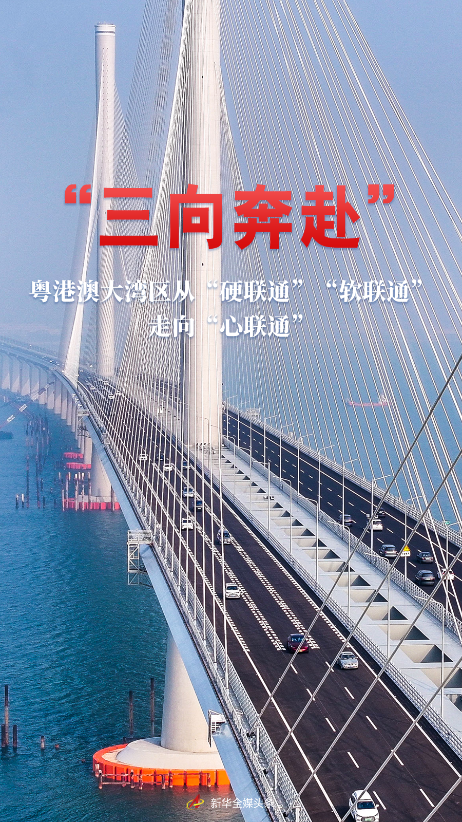 d8891c287a1be5e838e74ee19741b6cc.png