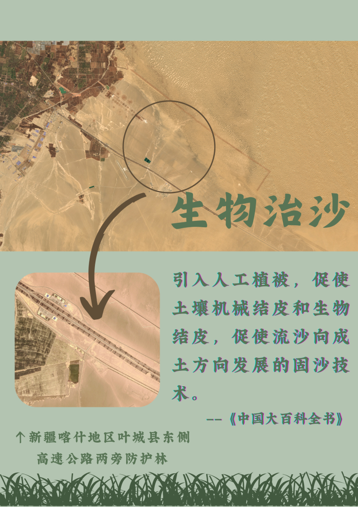 241542ede4cd64591bbb8c27fa54b720.png