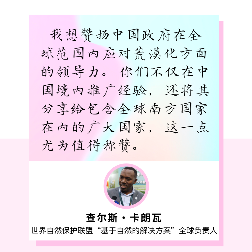 d35fb4ce1bddd61df56d051895775686.png