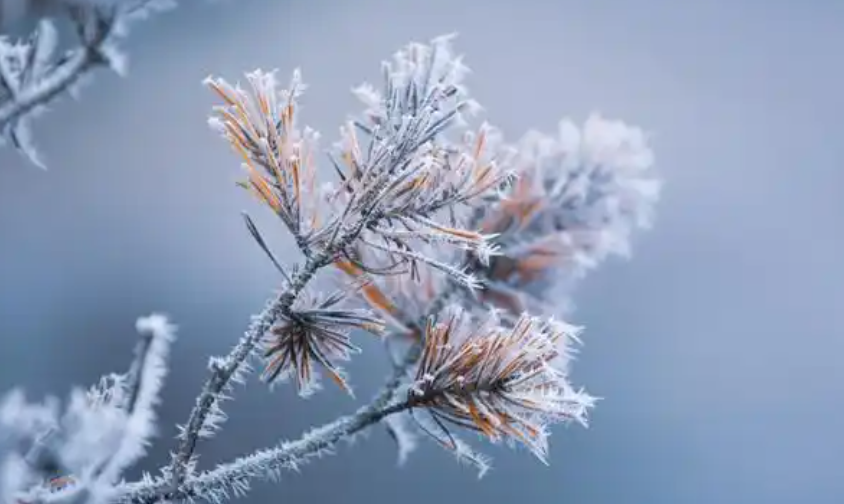 18日夜间至19日早晨 西安有一次雨雪、吹风天气过程