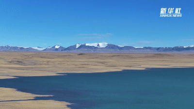 ac5ec932aceb194cb5d6c05c4319384c.gif