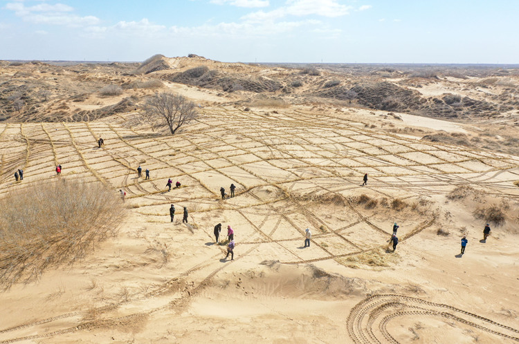 n aerial drone photo taken on March 28, 2024 shows workers building square-shaped sand barriers with straw in the Horqin sandy land in Tongliao City, north China's Inner Mongolia Autonomous Region. (Xinhua/Lian Zhen)