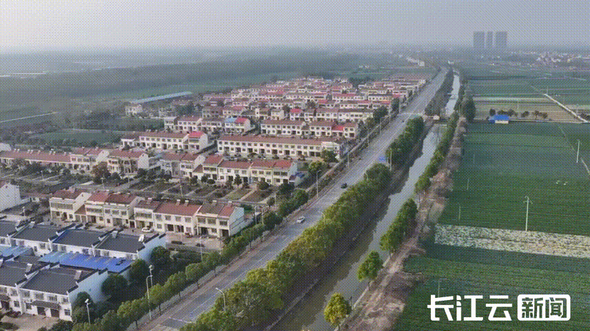 26645b3d6321a93c95eba856e0c4ba9e.gif
