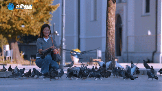 b4f931e5b9154c8c1131090be2c8f587.gif