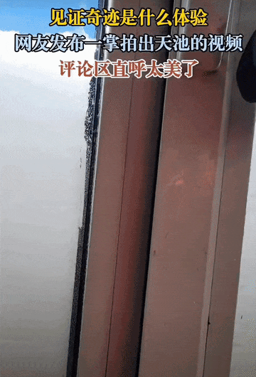 99c6030752594a04b76495c049a2c0f4.gif