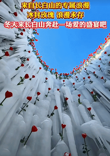 d3ba63a91688cc9049a0dfe8fb6628e2.gif