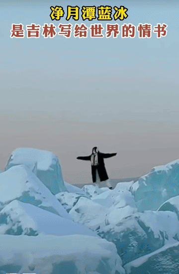 ff6975705114a519412ab36e69121435.gif