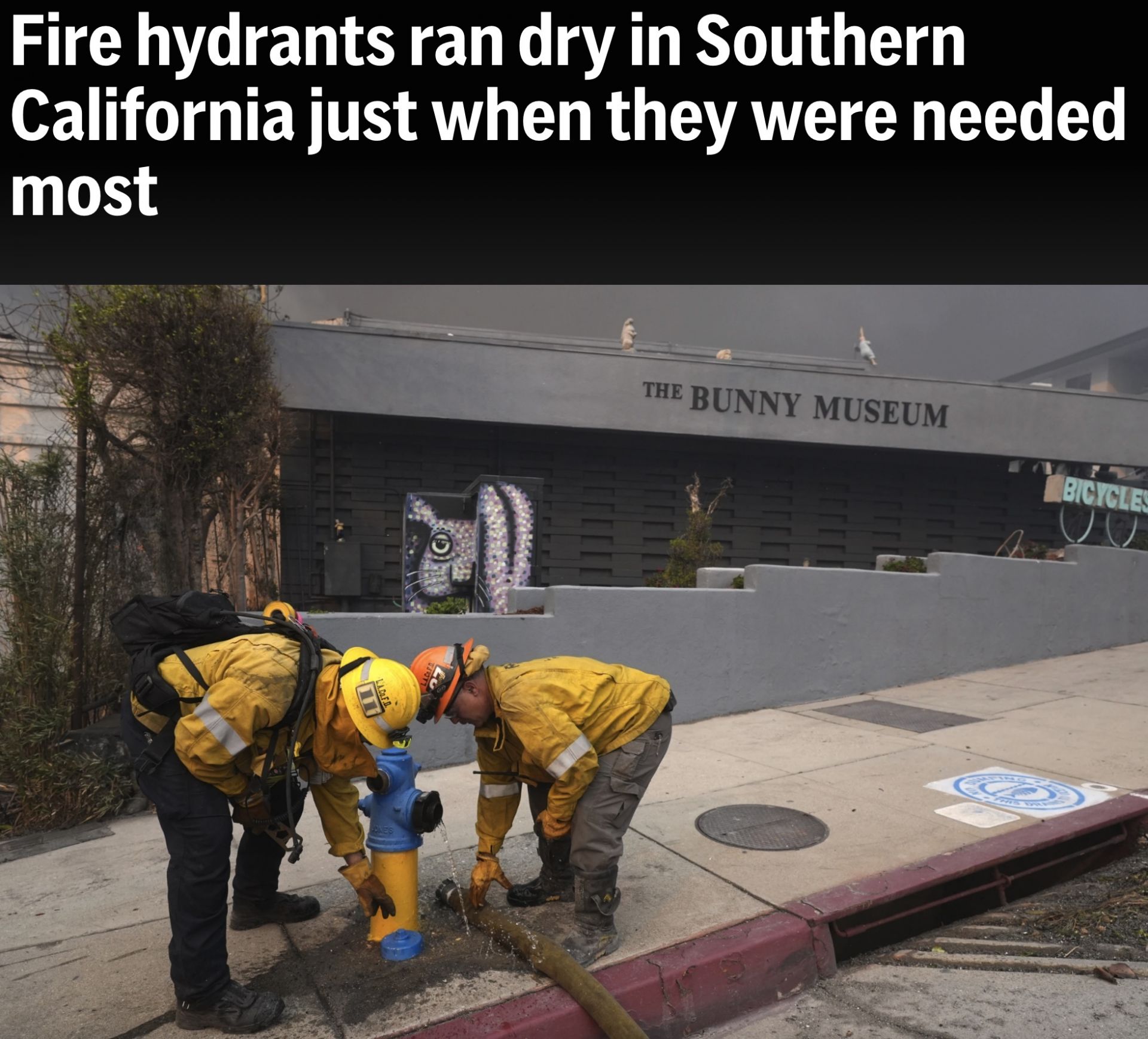 d5842f376b812f66fa286135dd5fe2b3.jpeg