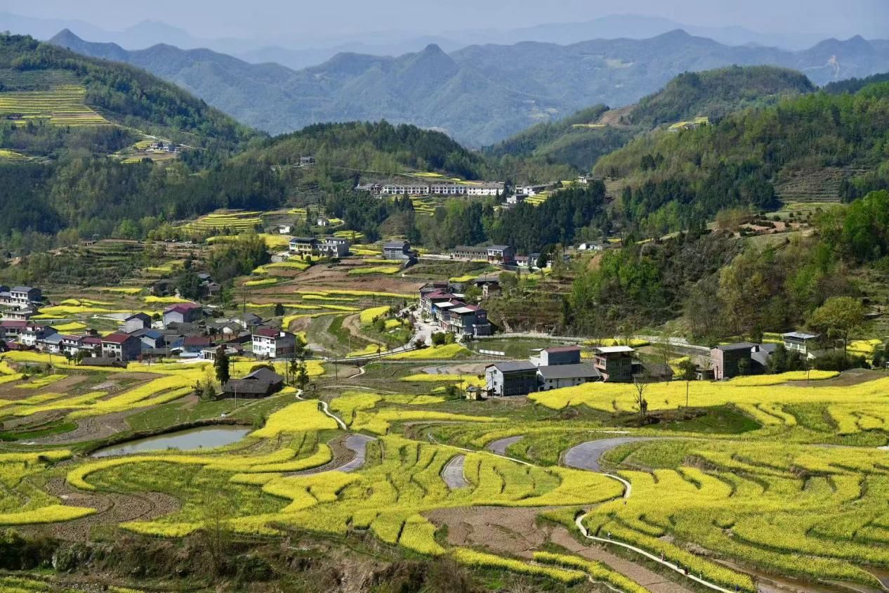 凤堰梯田。吕撑峰摄