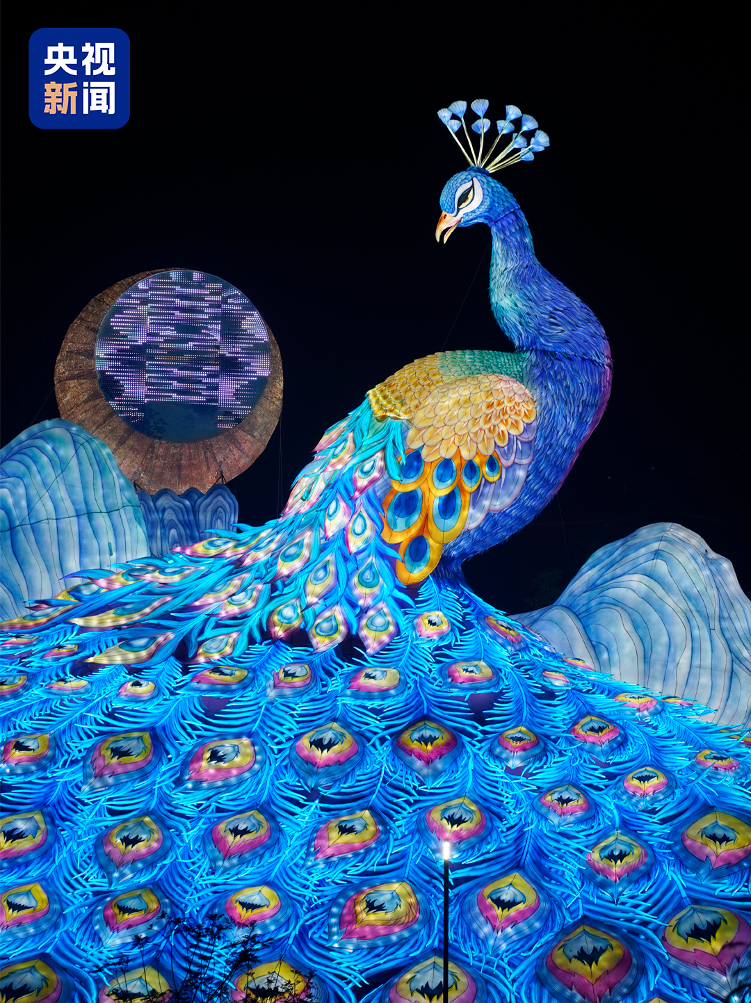 5e06b33083e7fb909164f55dd7ed6fe7.png