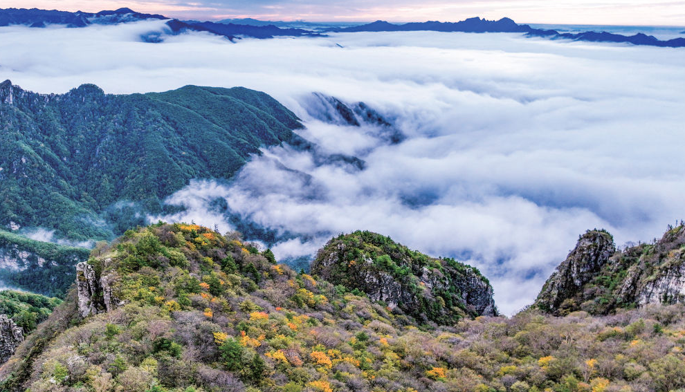 在秦岭，感受祖脉风华