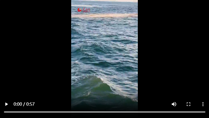 b7820aa63adf75d68e4aa5cf5228b17a.png