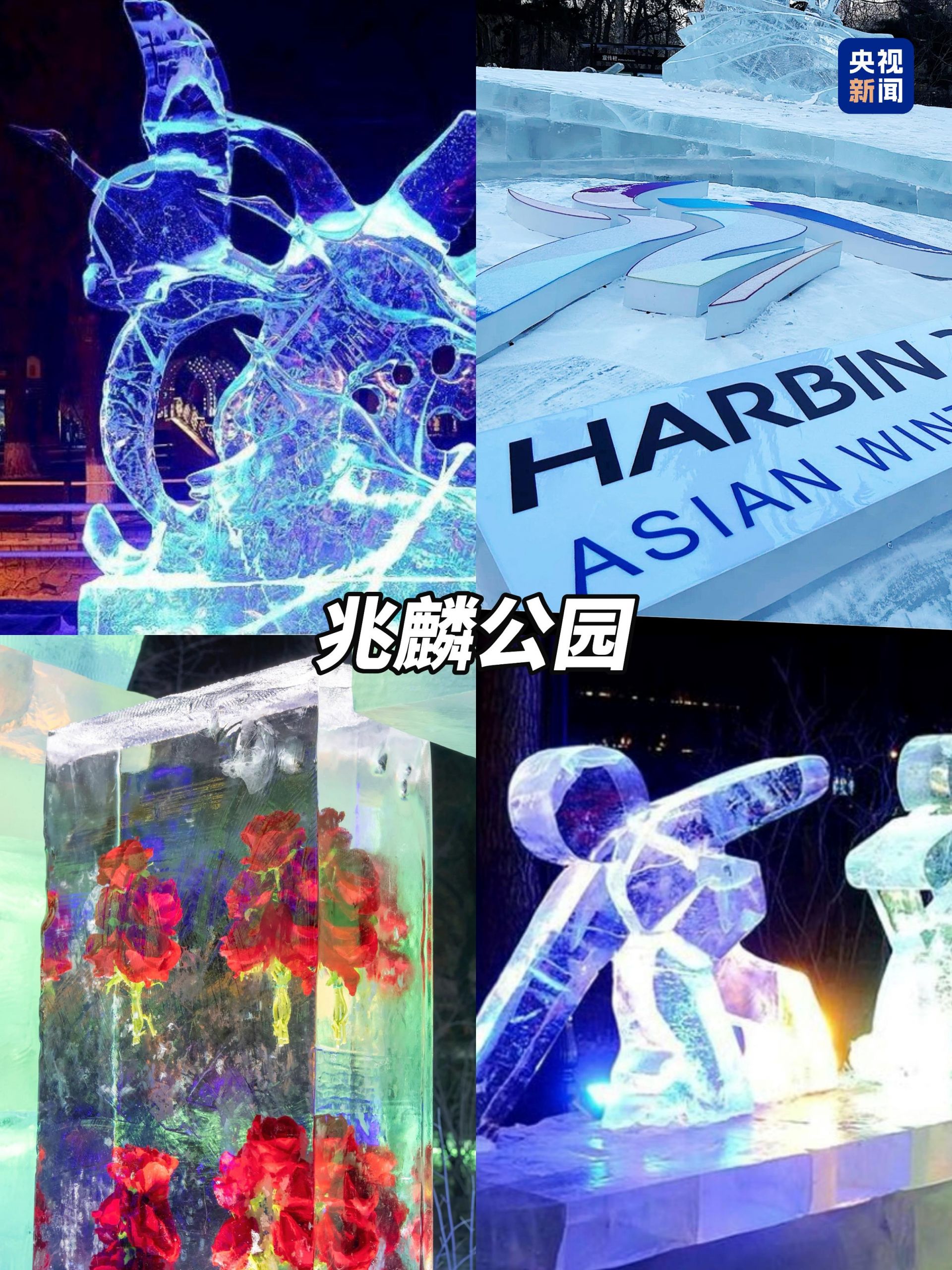 e46e757201b8cf7ccf4f1a1570f2a42a.jpeg