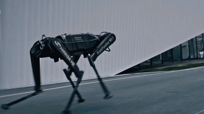 87c7045be1daf04857789426d67225aa.gif