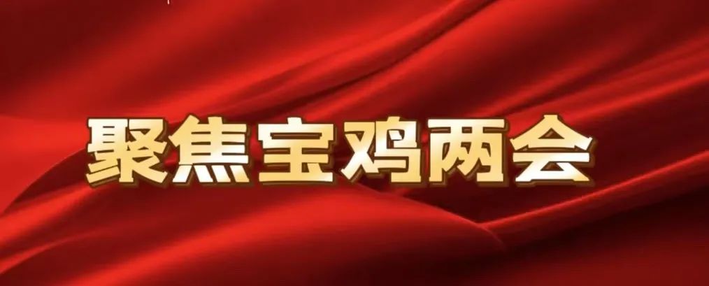 李莉检察长在宝鸡市十六届人大五次会议上作市人民检察院工作报告