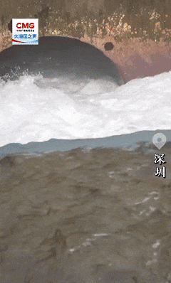 a7cb81027d3c741a4294e67ddd6c6275.gif