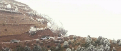 87d1490566a586663668058fe510ee44.gif