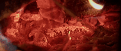 ca3c955a939d9a6e075fc3093c482d52.gif