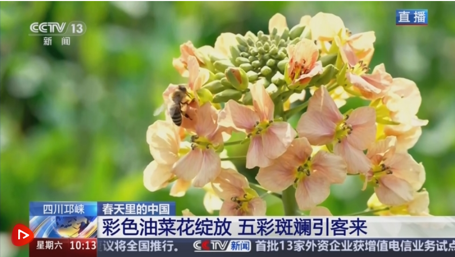 563bdb8727911353ecbf66c042abae56.png