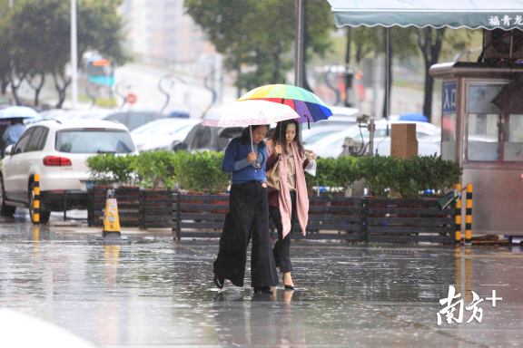 市民在雨中行走。南方+记者 鲁力 摄