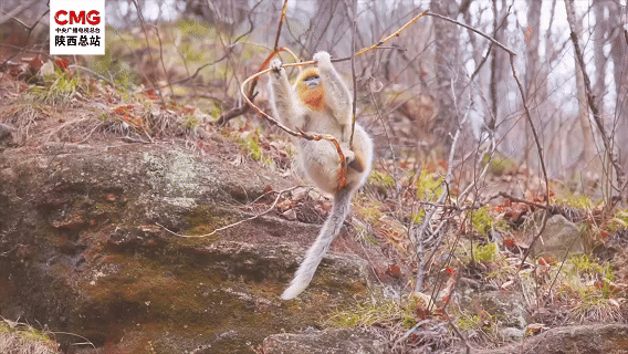 7214f297ef470e69af7bfc08032bb346.gif